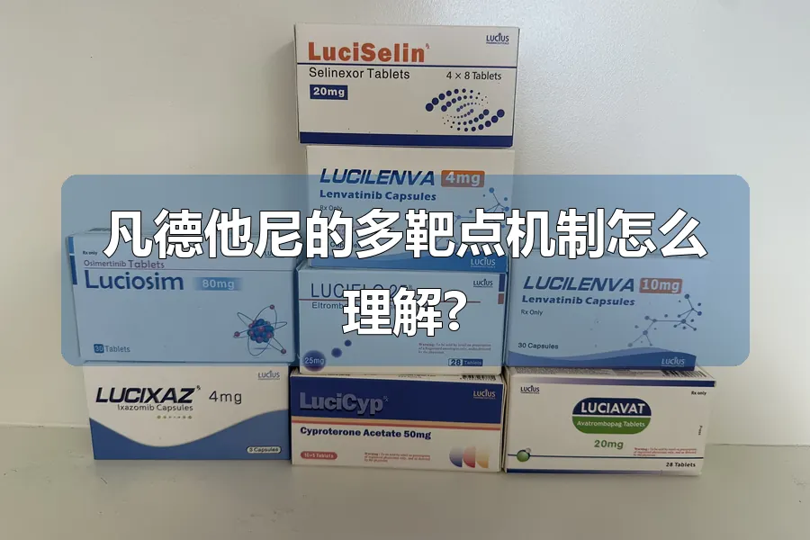 凡德他尼的多靶点机制怎么理解?